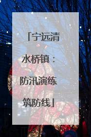宁远清水桥镇：防汛演练筑防线