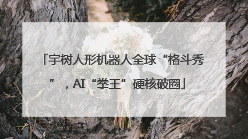 宇树人形机器人全球“格斗秀”，AI“拳王”硬核破圈