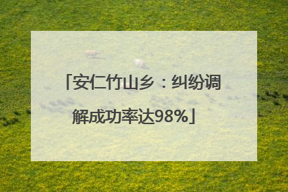 安仁竹山乡：纠纷调解成功率达98%