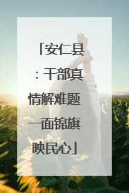 安仁县：干部真情解难题一面锦旗映民心