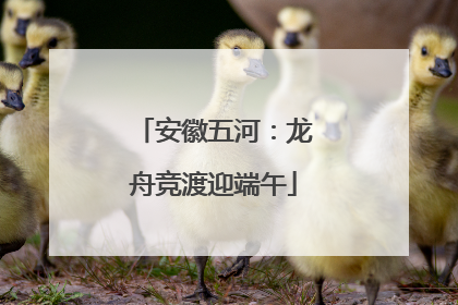 安徽五河：龙舟竞渡迎端午