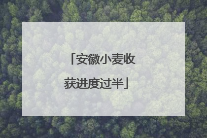 安徽小麦收获进度过半