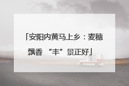 安阳内黄马上乡：麦穗飘香 “丰”景正好