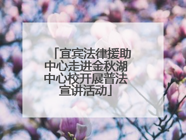 宜宾法律援助中心走进金秋湖中心校开展普法宣讲活动