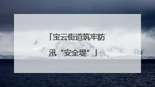 宝云街道筑牢防汛“安全堤”