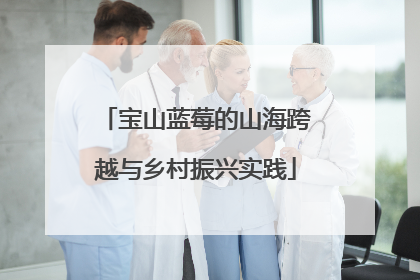 宝山蓝莓的山海跨越与乡村振兴实践
