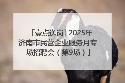 壹点送岗│2025年济南市民营企业服务月专场招聘会（第9场）