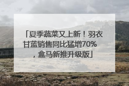 夏季蔬菜又上新！羽衣甘蓝销售同比猛增70%，盒马新推升级版