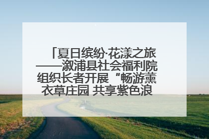夏日缤纷·花漾之旅——溆浦县社会福利院组织长者开展“畅游薰衣草庄园 共享紫色浪漫”户外活动