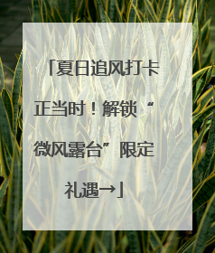 夏日追风打卡正当时！解锁“微风露台”限定礼遇→
