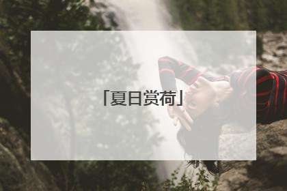 夏日赏荷