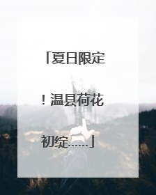 夏日限定！温县荷花初绽……