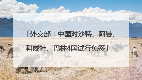 外交部：中国对沙特、阿曼、科威特、巴林4国试行免签