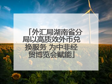 外汇局湖南省分局以高质效外币兑换服务 为中非经贸博览会赋能