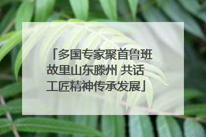 多国专家聚首鲁班故里山东滕州 共话工匠精神传承发展