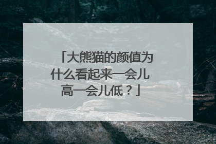 大熊猫的颜值为什么看起来一会儿高一会儿低？