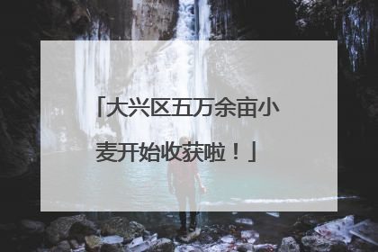 大兴区五万余亩小麦开始收获啦！