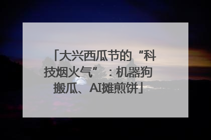 大兴西瓜节的“科技烟火气”：机器狗搬瓜、AI摊煎饼