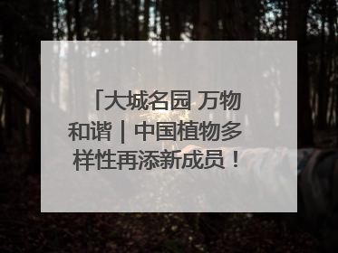 大城名园 万物和谐｜中国植物多样性再添新成员！它只在西藏墨脱