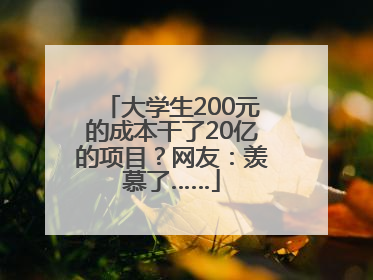 大学生200元的成本干了20亿的项目？网友：羡慕了……