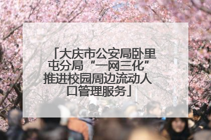 大庆市公安局卧里屯分局“一网三化”推进校园周边流动人口管理服务