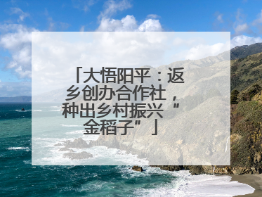 大悟阳平：返乡创办合作社，种出乡村振兴“金稻子”