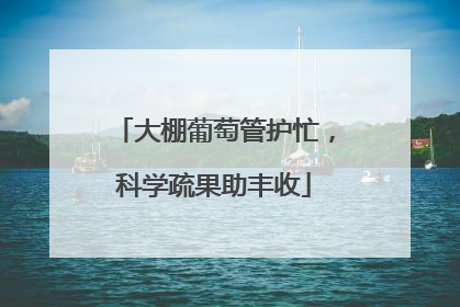 大棚葡萄管护忙，科学疏果助丰收