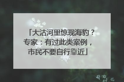 大沽河里惊现海豹？专家：有过此类案例，市民不要自行靠近
