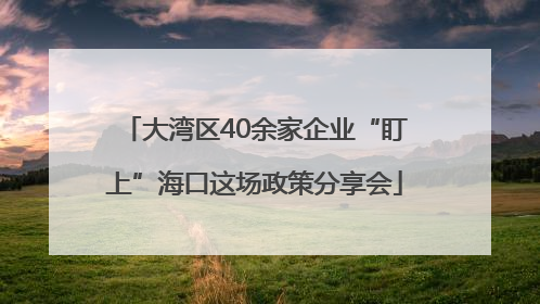 大湾区40余家企业“盯上”海口这场政策分享会