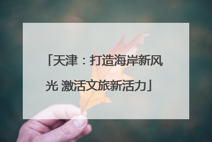 天津：打造海岸新风光 激活文旅新活力