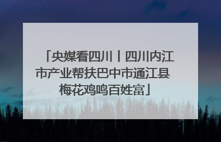央媒看四川丨四川内江市产业帮扶巴中市通江县 梅花鸡鸣百姓富