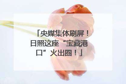 央媒集体刷屏！日照这座“宝藏港口”火出圈！