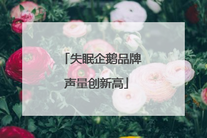 失眠企鹅品牌声量创新高
