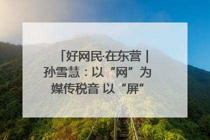 好网民·在东营｜孙雪慧：以“网”为媒传税音 以“屏”为介助发展