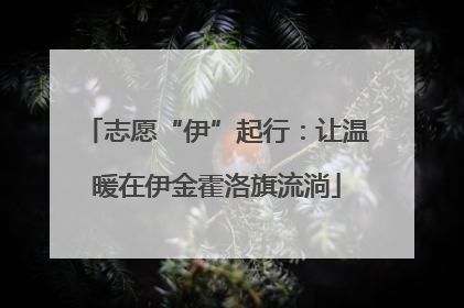 志愿“伊”起行：让温暖在伊金霍洛旗流淌