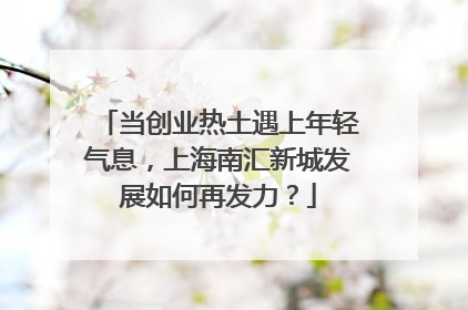 当创业热土遇上年轻气息，上海南汇新城发展如何再发力？