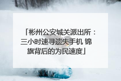 彬州公安城关派出所：三小时速寻遗失手机 锦旗背后的为民速度
