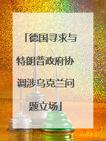 德国寻求与特朗普政府协调涉乌克兰问题立场