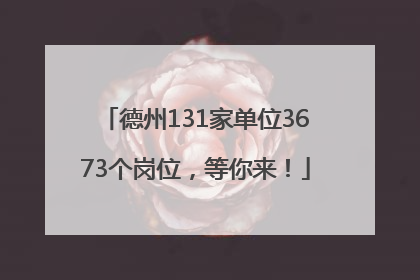 德州131家单位3673个岗位，等你来！