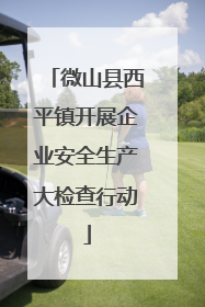 微山县西平镇开展企业安全生产大检查行动