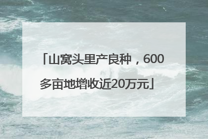 山窝头里产良种，600多亩地增收近20万元