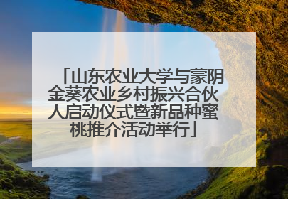 山东农业大学与蒙阴金葵农业乡村振兴合伙人启动仪式暨新品种蜜桃推介活动举行