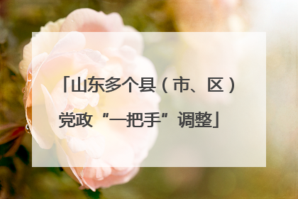 山东多个县（市、区）党政“一把手”调整