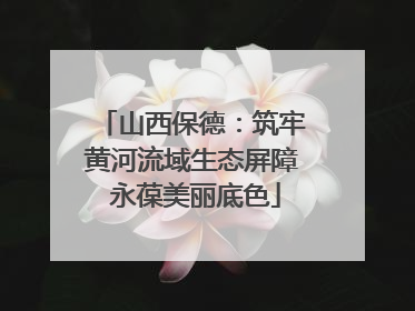 山西保德：筑牢黄河流域生态屏障 永葆美丽底色