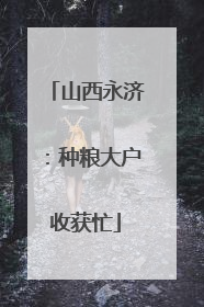 山西永济：种粮大户收获忙
