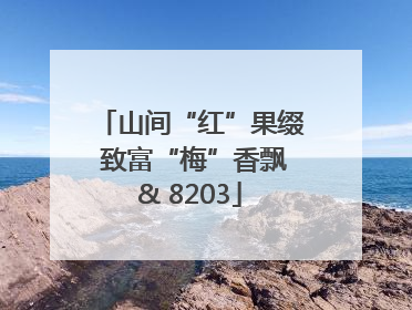 山间“红”果缀 致富“梅”香飘& 8203