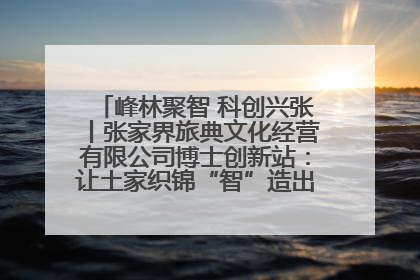 峰林聚智 科创兴张丨张家界旅典文化经营有限公司博士创新站：让土家织锦“智”造出非遗新传奇