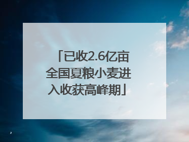 已收2.6亿亩 全国夏粮小麦进入收获高峰期