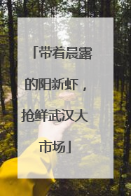 带着晨露的阳新虾，抢鲜武汉大市场