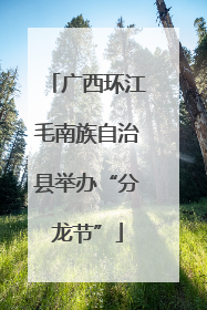 广西环江毛南族自治县举办“分龙节”